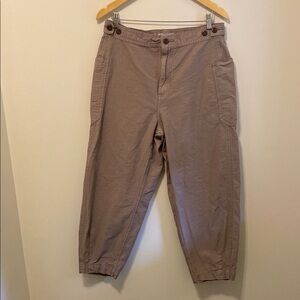 Everlane Organic Cotton High Rise Barrel Pants